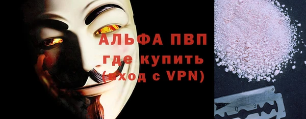 прущие грибы Кулебаки