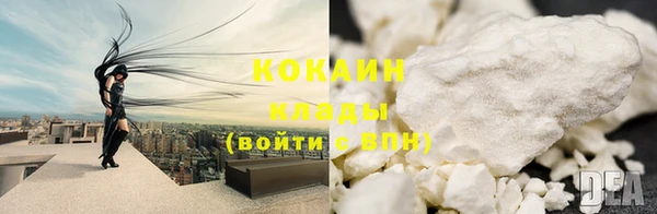 прущие грибы Кулебаки