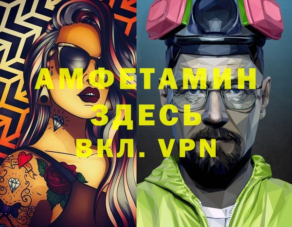 прущие грибы Кулебаки
