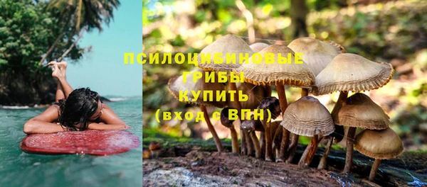 прущие крисы Кукмор
