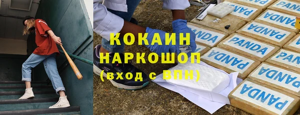 прущие грибы Кулебаки