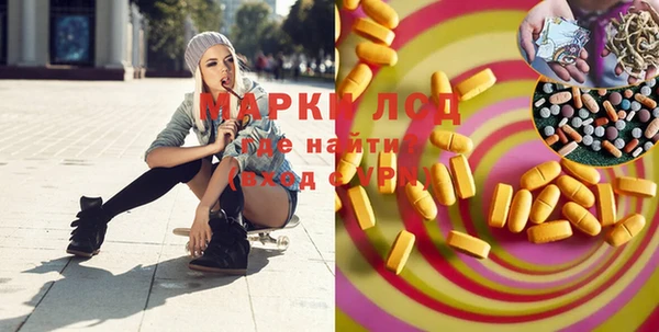 прущие грибы Кулебаки
