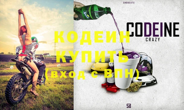 прущие грибы Кулебаки