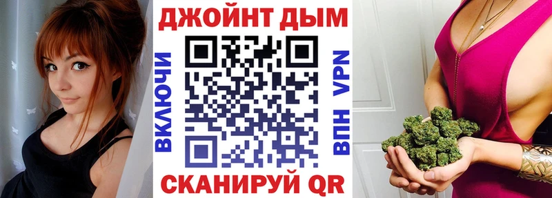 Купить закладки  Городовиковск  Канабис планчик 